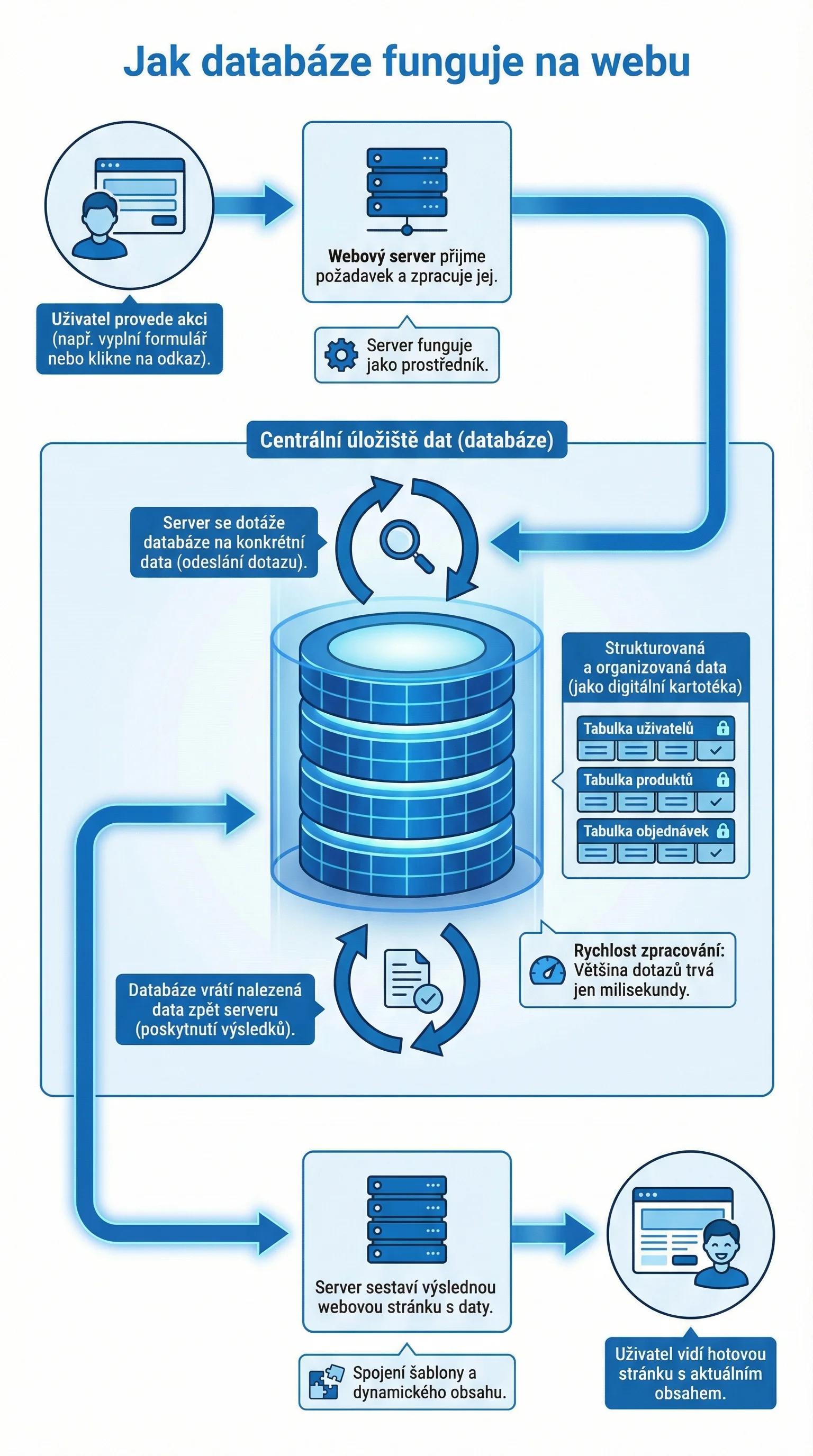 Infografika - Jak databáze funguje na webu