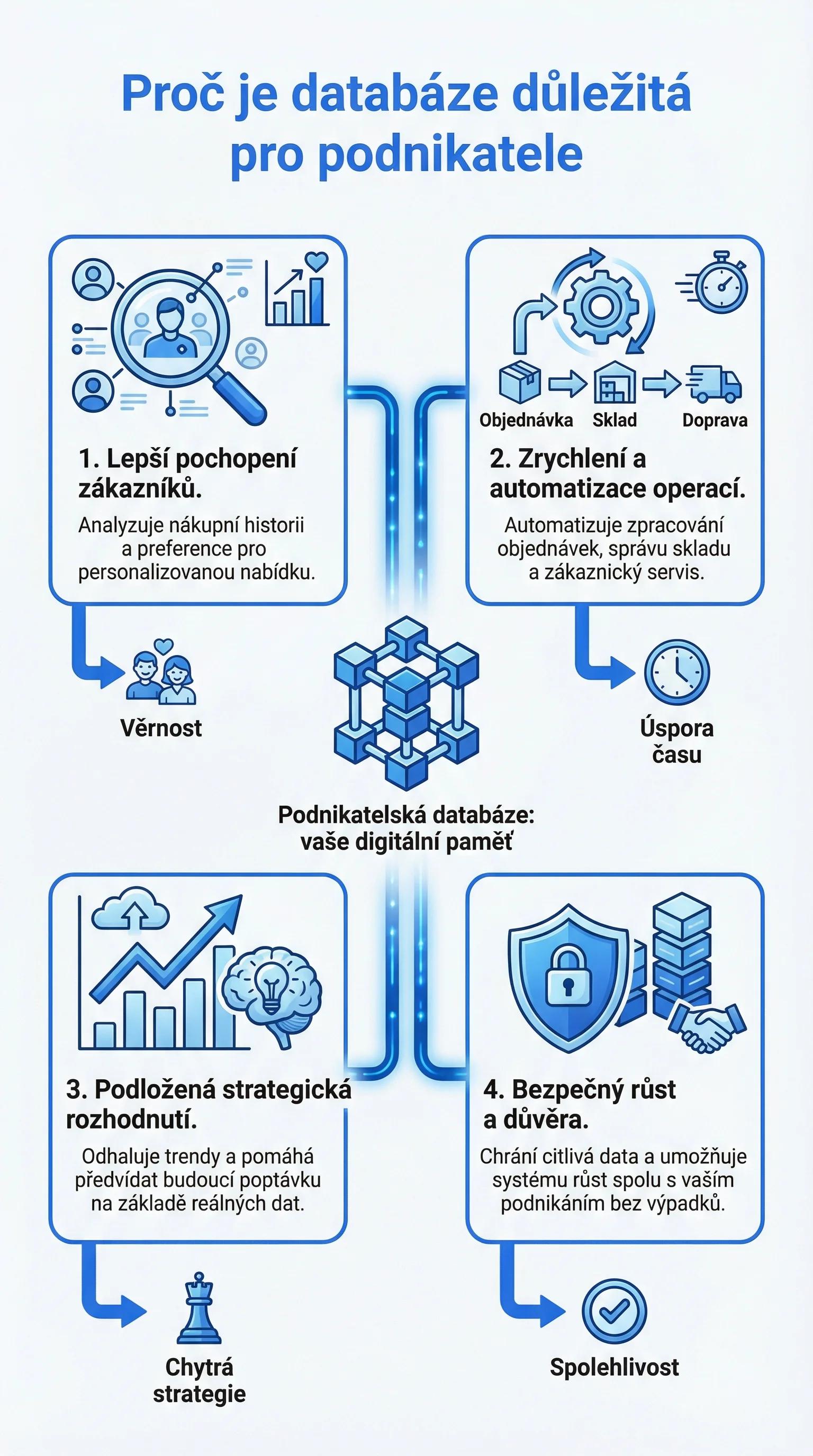 Infografika - Proč je databáze důležitá pro podnikatele